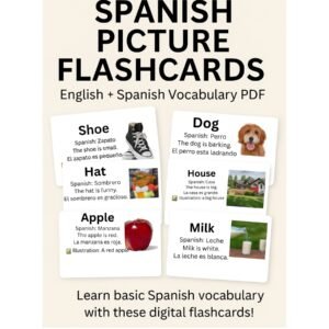 Main preview image of Spanish picture flashcards with English and Spanish translations and real-life images